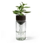 side by side - Self Watering Bottle Blumentopf, klarglas