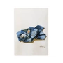 Paper Collective - The Jeans Poster, 50 x 70 cm