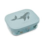 LIEWOOD - Arthur Lunchbox mit Deckel, Tritan, sea creature, sandy