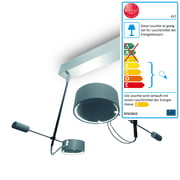 Absolut Lighting - Absolut WCF Deckenleuchte