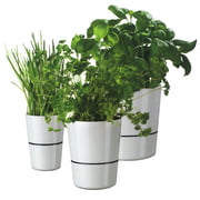 Rosti Mepal - Hydro Kräutertopf