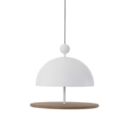 Frederik Roijé - Dish of Desire Futterstelle