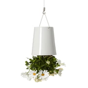 Boskke - Sky Planter Ceramic