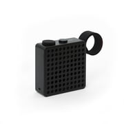 Palomar - The Monkey Radio / Lautsprecher