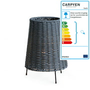 Carpyen - Garbí Tischleuchte
