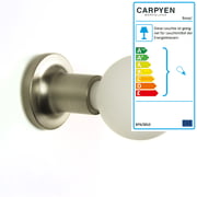 Carpyen - Punt Wand- und Deckenleuchte