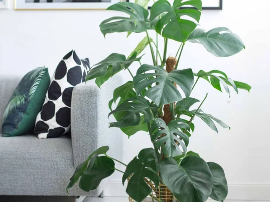 Korbo - Bin 18 - Messing