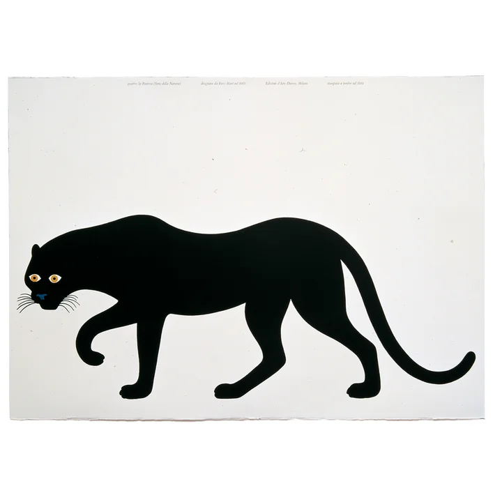 Danese Grafik "Quattro, la pantera"