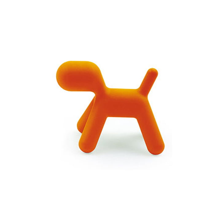 Puppy M von Magis in orange