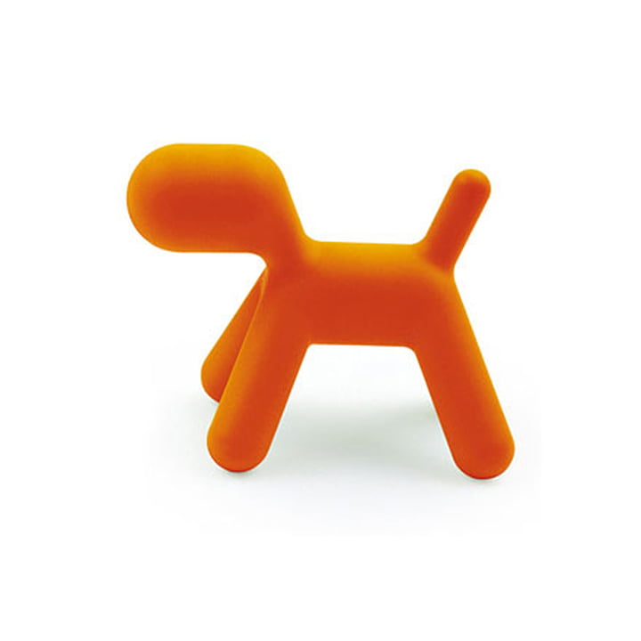 Puppy L von Magis in orange