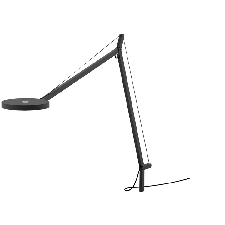 Demetra LED Body von Artemide in anthrazit