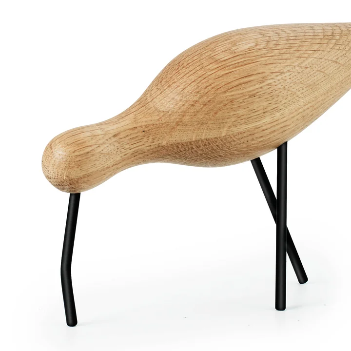 Grosser Brachvogel mit gebogenem Schnabel