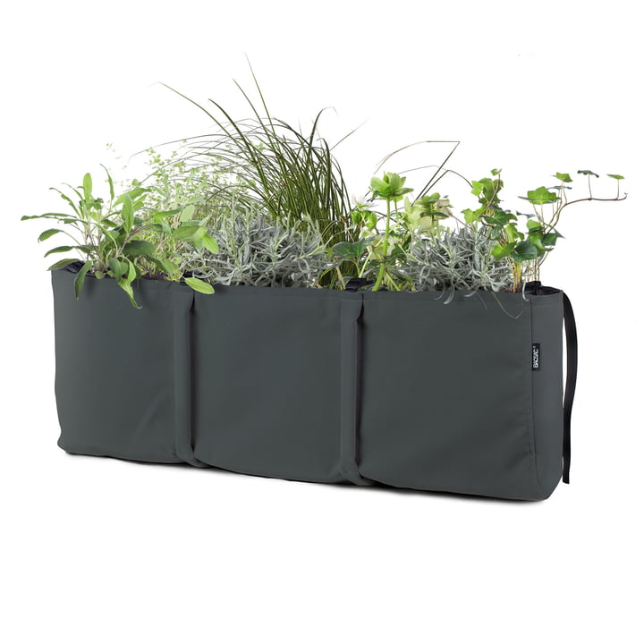 Hanging Window Box Pflanztasche 3, 25 l von Bacsac in asphalt