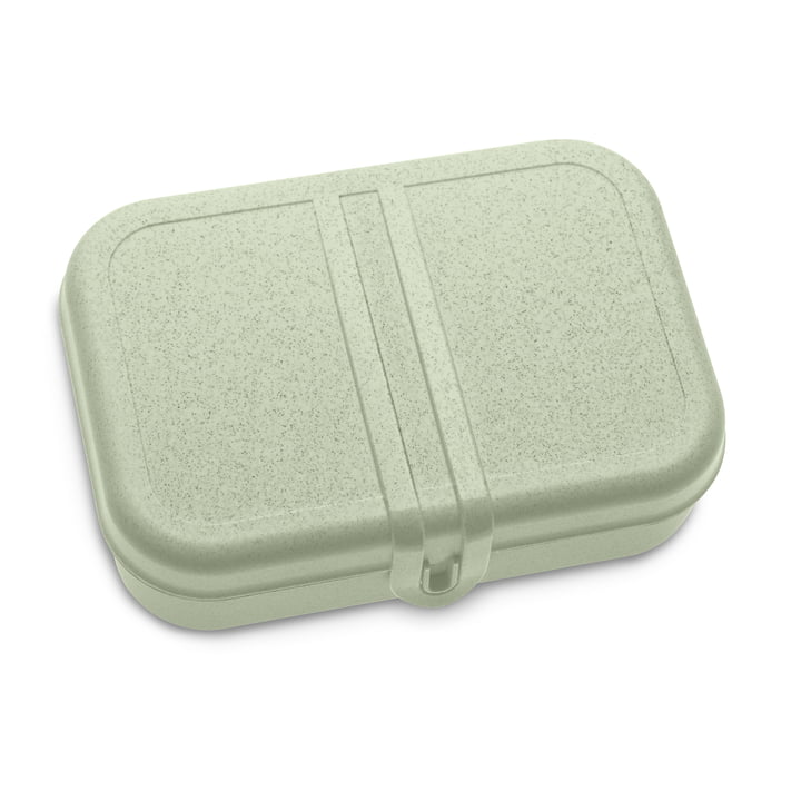 Pascal L Lunchbox mit Trennsteg in organic green von Koziol 