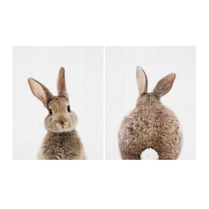 Rabbit 80 x 100 cm von IXXI