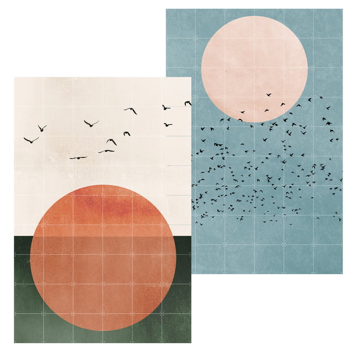 2 in 1 Free Souls Fly Away Poster von IXXI in 120 x 180 cm