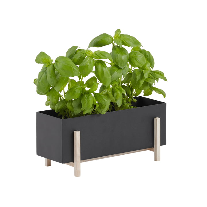 Botanic Box von Design House Stockholm 