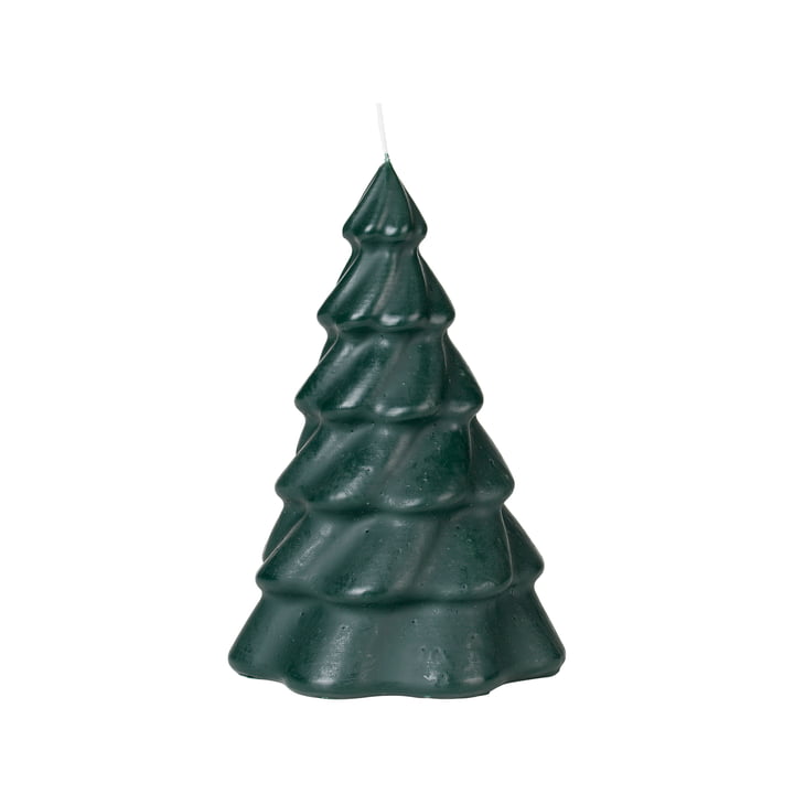 Pinus Weihnachtsbaumkerze von Broste Copenhagen