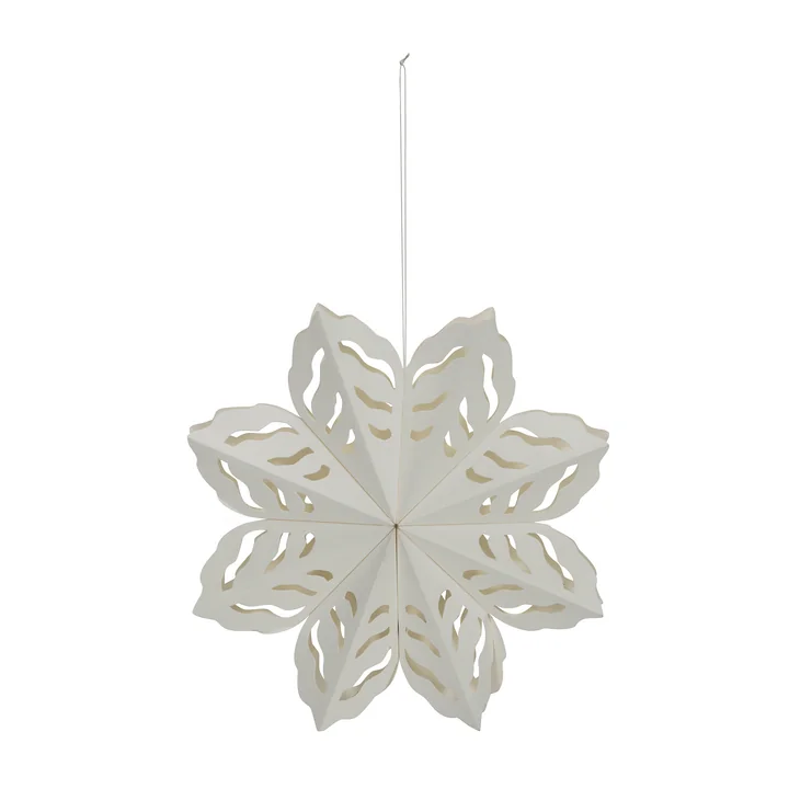 Snowflake von House Doctor