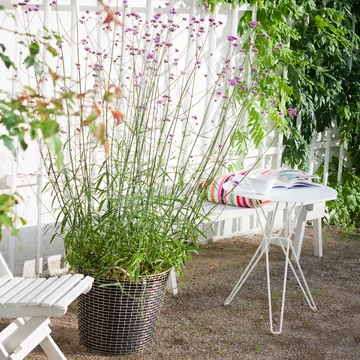 Drahtkorb für Pflanzen im Garten