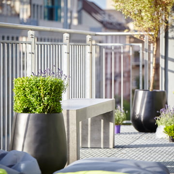 Der Bauchige in L von Amei