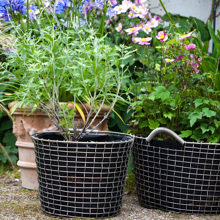 Bucket & Bin Drahtkorb von Korbo aus Edelstahl