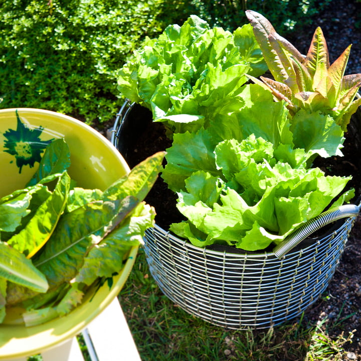 Drahtkorb mit Plant Bag für den Garten