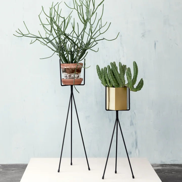 Plant Stand ist in zwei Grössen