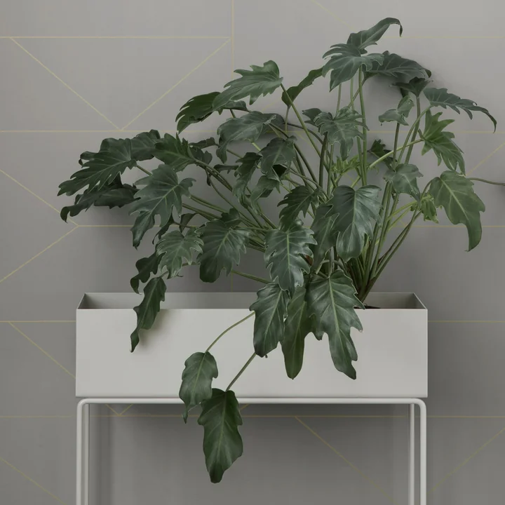 Plant Box von Ferm Living in Weiss