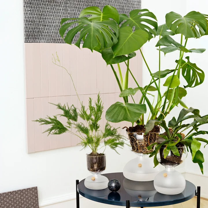 Personifizierung der Erde als Gewächshaus