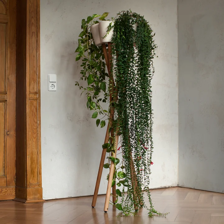 Der hochgarten von urbanature in Eichenholz mit weissem Übertopf