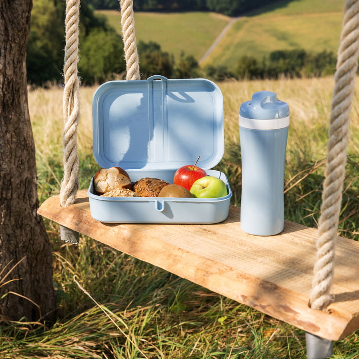 Lunchbox fürs Picknick und unterwegs