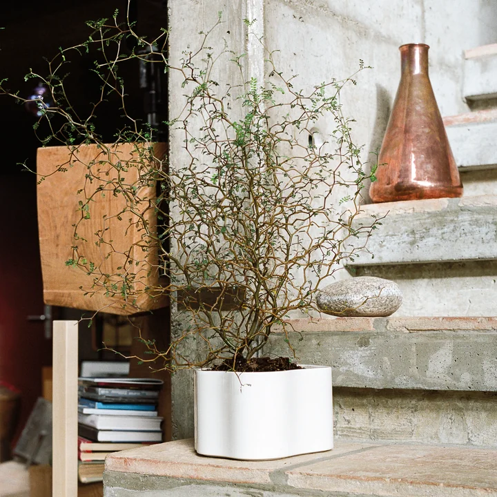 Riihitie Übertopf von Artek