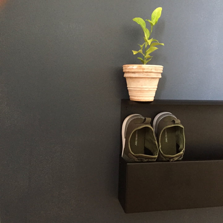 Die Nichba Design - Shoe Box dekorativ mit Pflanze