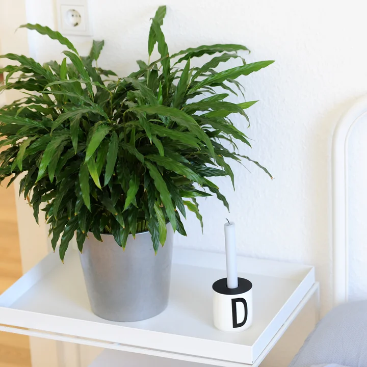 Rahel Dünker - Homestory 11