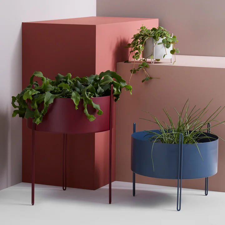 Der Woud - Pidestall Pflanzenbehälter in verschiedenen Grössen und Farben