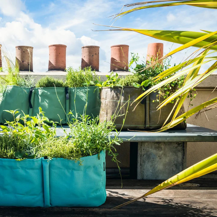 Bacsquare Pflanztasche von Bacsac