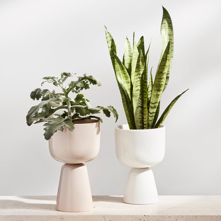 Nappula Blumentopf von Iittala