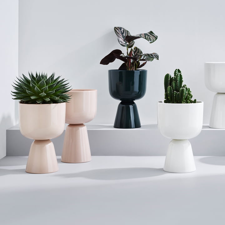 Nappula Blumentopf von Iittala