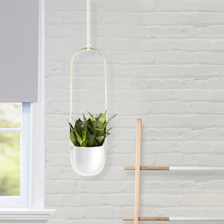 Bolo Blumenampel von Umbra in weiss / Messing
