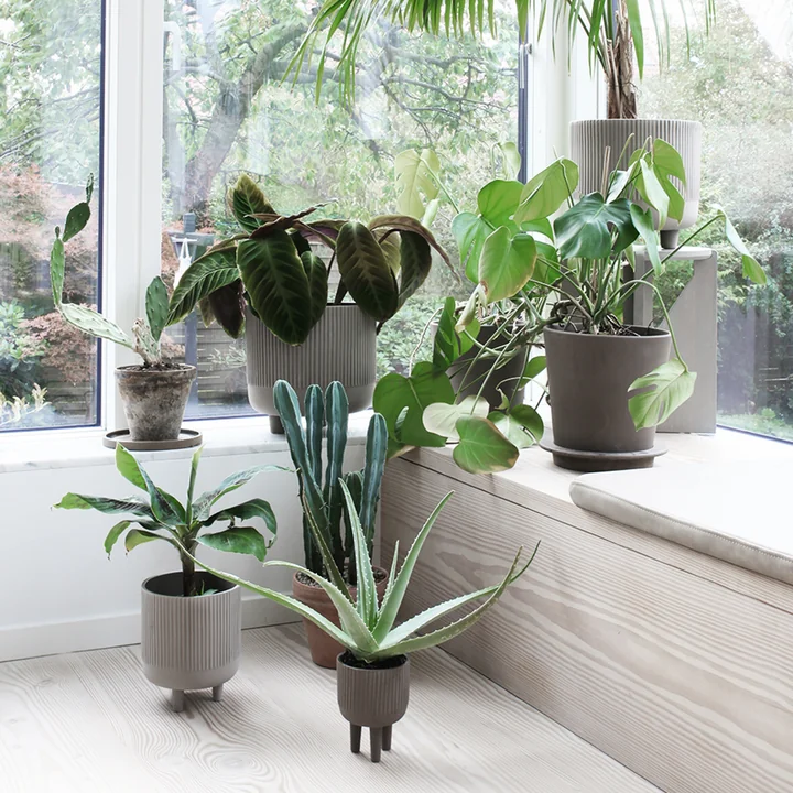 Bowl Blumentopf von Kristina Dam Studio