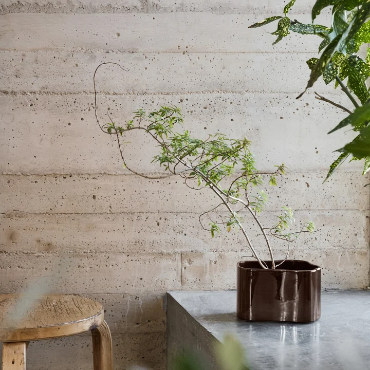 Riihitie Übertopf von Artek in dunkelbraun