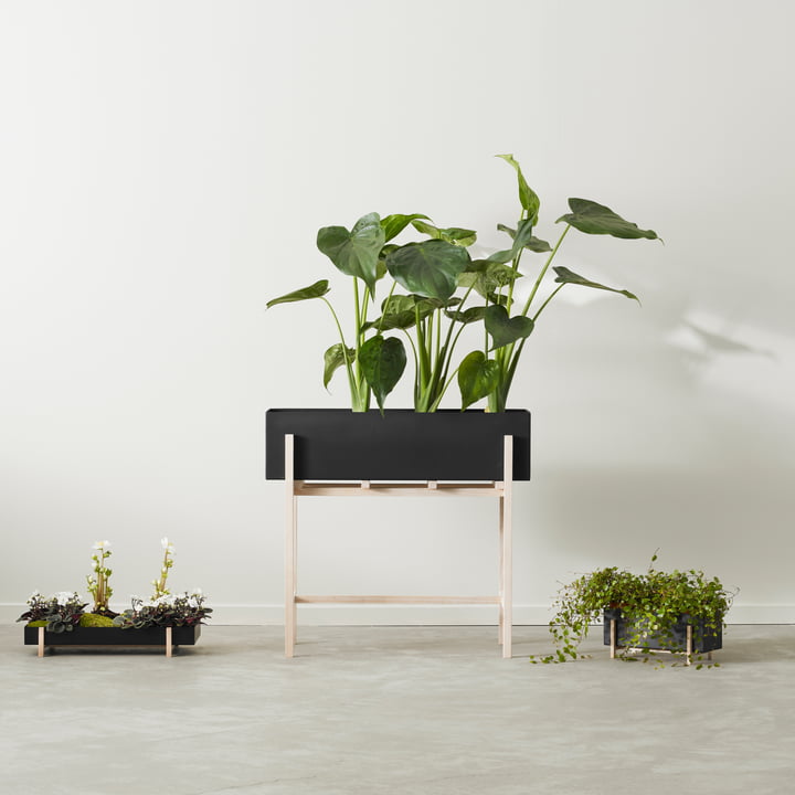 Botanic Box von Design House Stockholm 