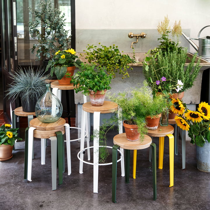 LOU Hocker und Lou Barhocker von TipToe als Ablage zum Präsentieren von Blumen und Pflanzen