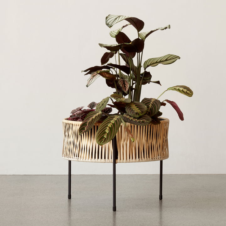 Der Umanoff Pflanztopf Ø 41 x H 32,5 cm, Rattan / schwarz ( (RAL 9005) von Audo eignet sich für Innen und Aussen