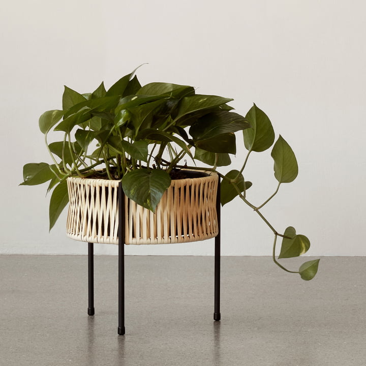 Der Umanoff Pflanztopf Ø 27 x H 27 cm, Rattan / schwarz ( (RAL 9005) von Audo wurde von Arthur Umanoff entworfen