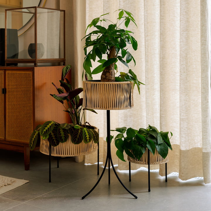 Die Umanoff Pflanztöpfe, Rattan / schwarz von Audo im Wohnzimmer