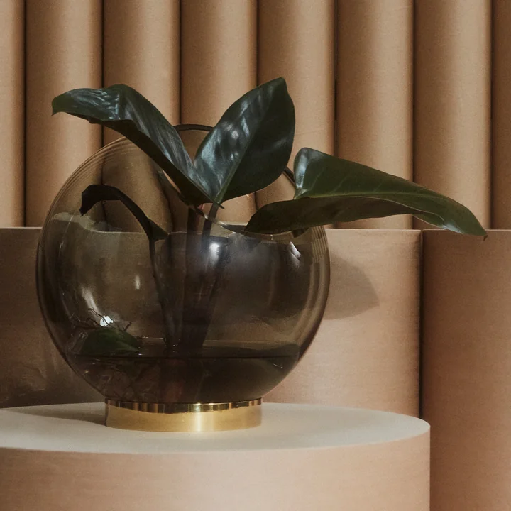 Die Globe Vase von AYTM gefüllt mit grossblättrigen Pflanzen