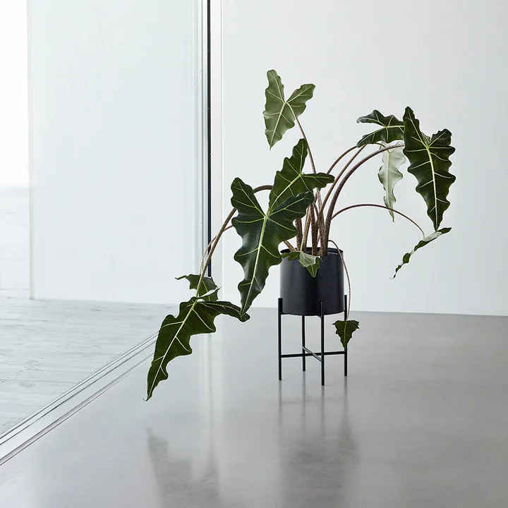 Pflanztopf mit Gestell von Hübsch Interior im 2er-Set