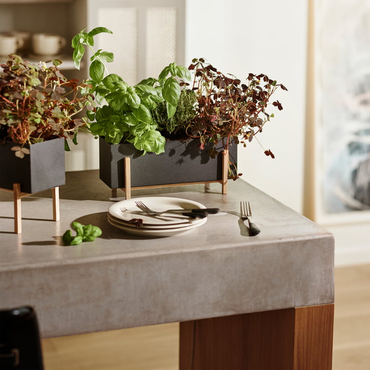 Die Botanic Box von Design House Stockholm lässt Beete gedeihen